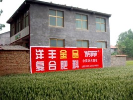 寿宁如何让墙体广告展现最大化效果