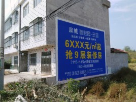 寿宁墙体广告质量分析